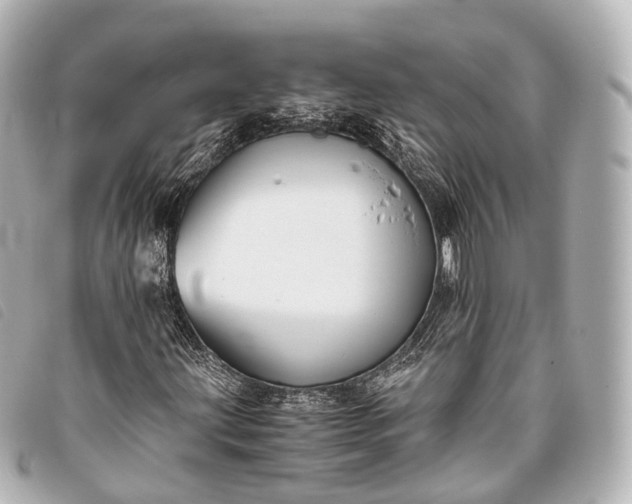 X0000093371203200710251146