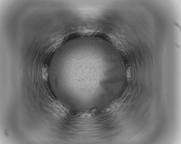 X0000093371204200710251146