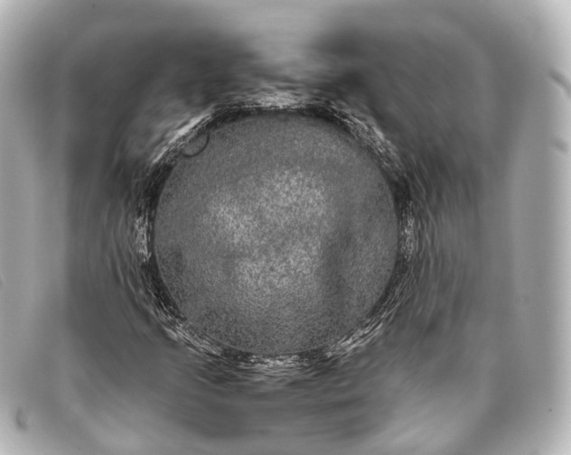 X0000093371205200710251146