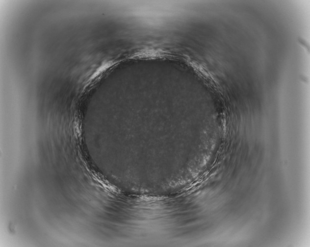 X0000093371206200710251146