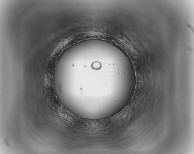 X0000093371207200710251146