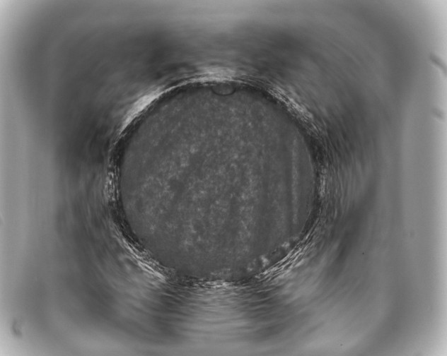 X0000093371208200710251146