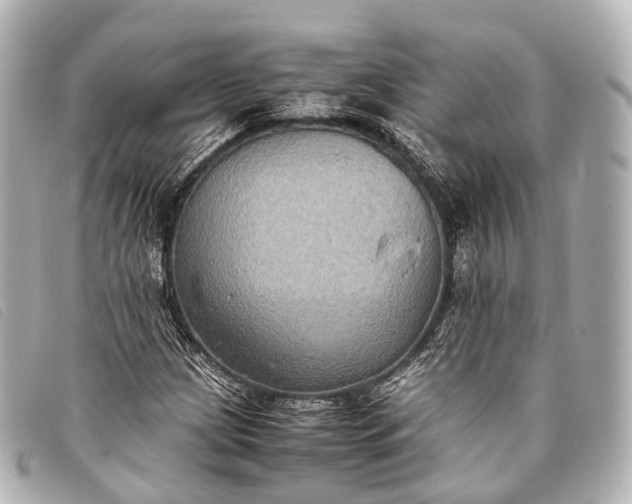 X0000093371209200710251146