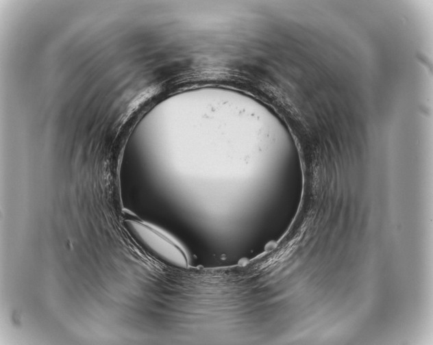 X0000093371210200710251146