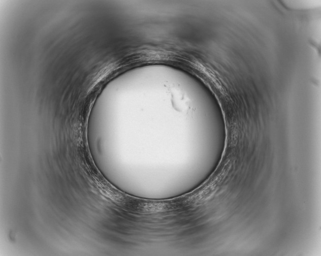 X0000093371211200710251146