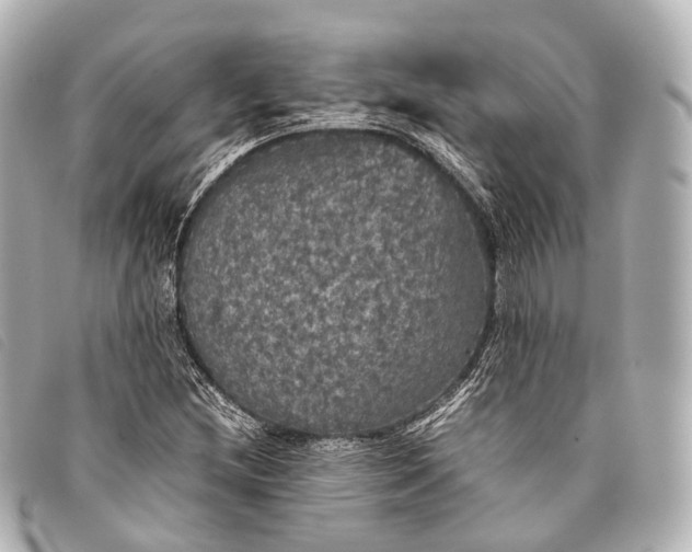 X0000093371212200710251146