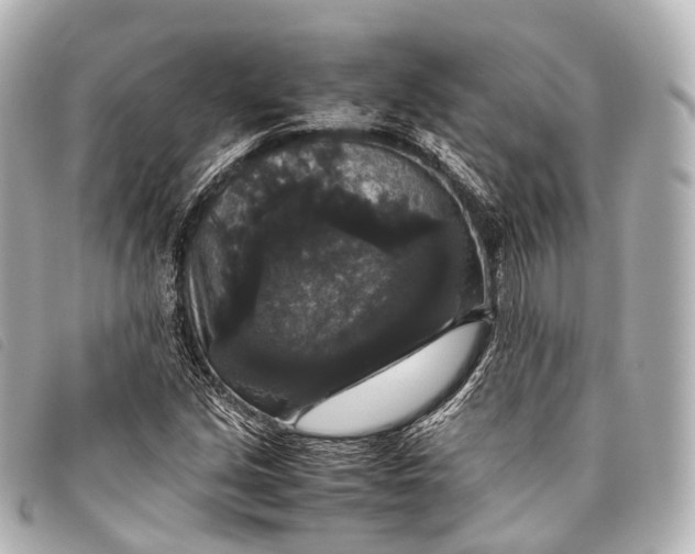 X0000093371213200710251146