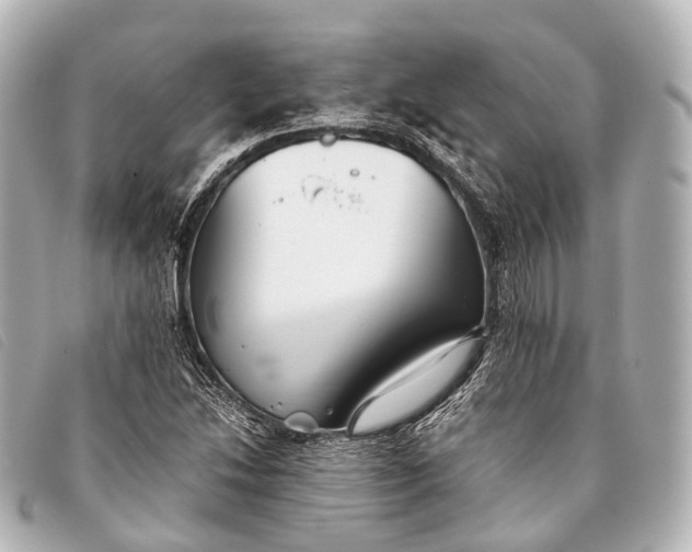 X0000093371214200710251146