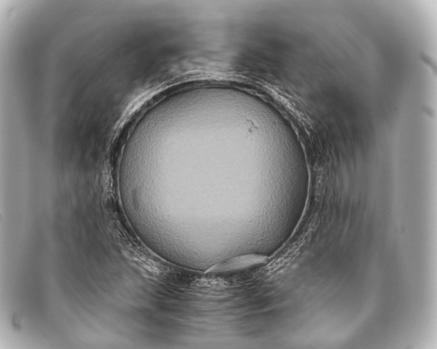 X0000093371215200710251146