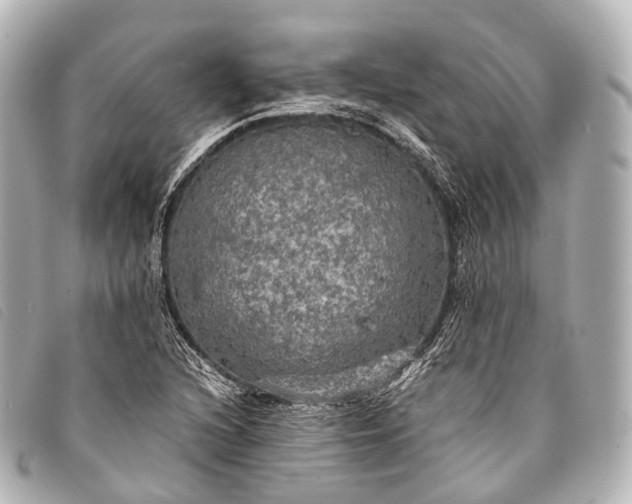 X0000093371216200710251146