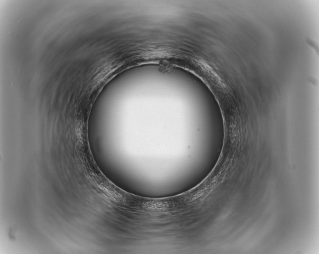 X0000093371217200710251146