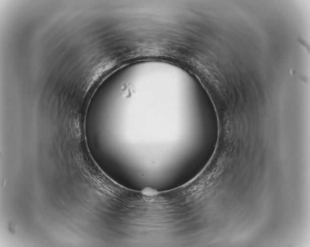 X0000093371218200710251146