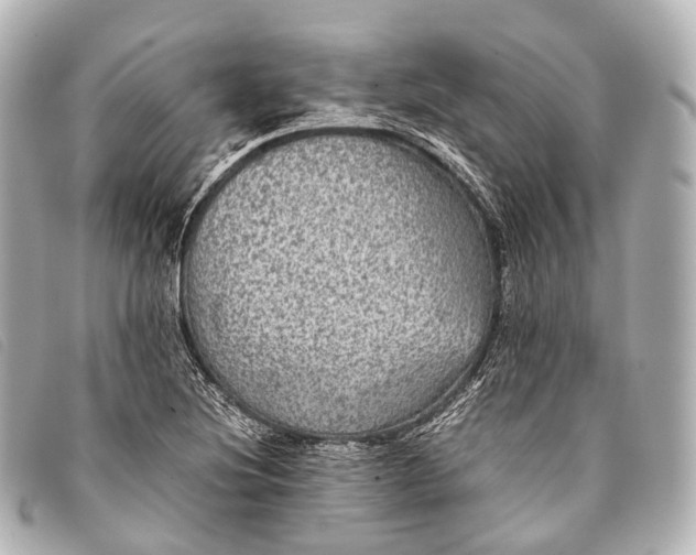 X0000093371220200710251146