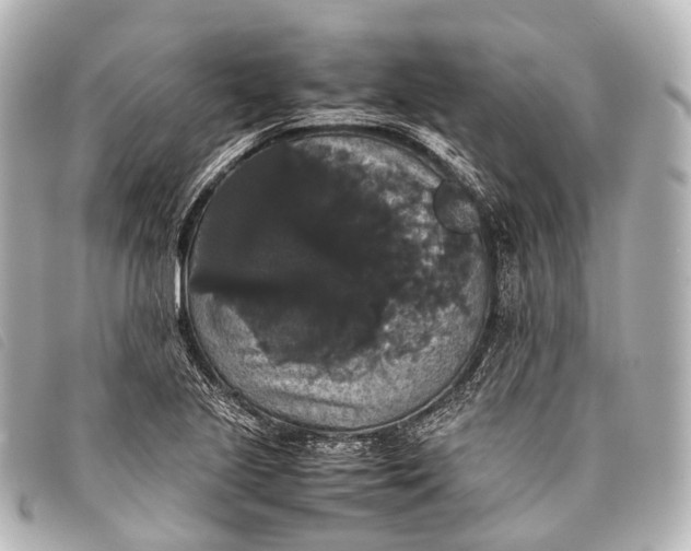 X0000093371221200710251146