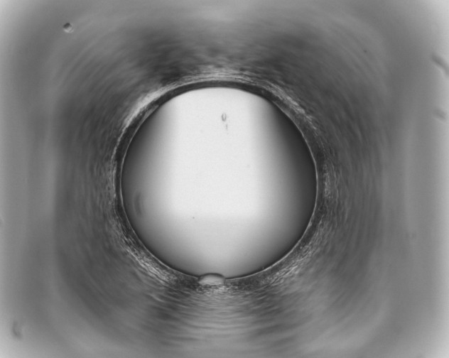 X0000093371222200710251146