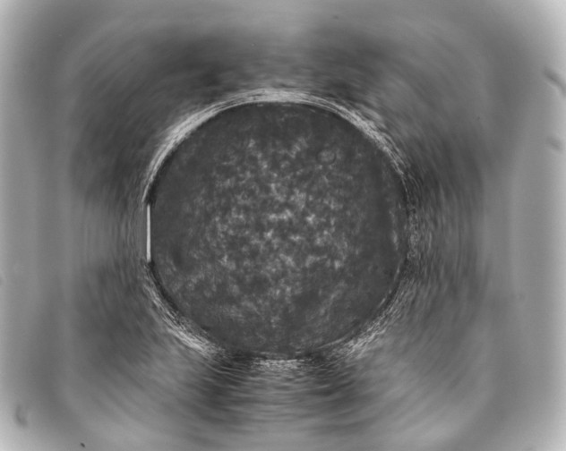 X0000093371223200710251146