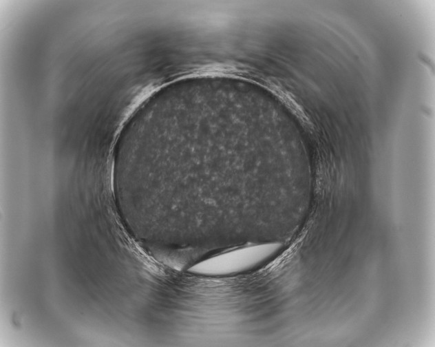 X0000093371224200710251146