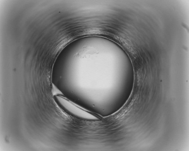 X0000093371225200710251146