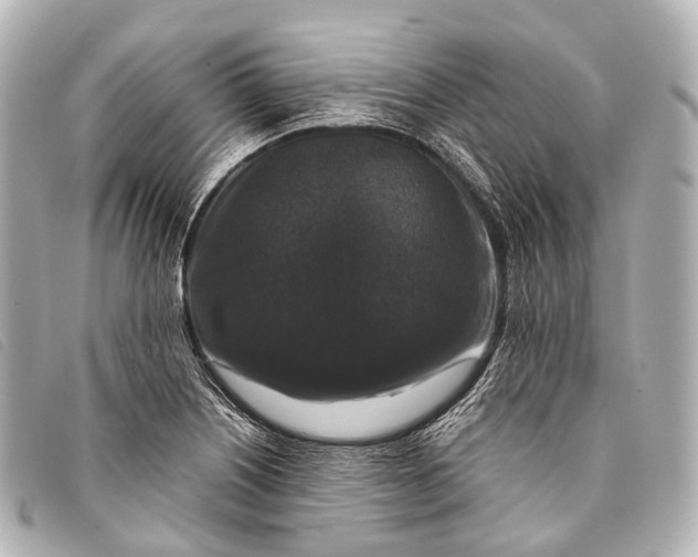 X0000093371226200710251146