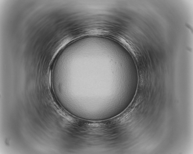 X0000093371227200710251146