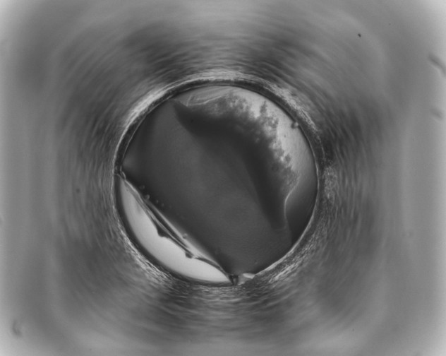 X0000093371229200710251146