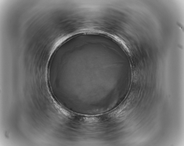 X0000093371231200710251146