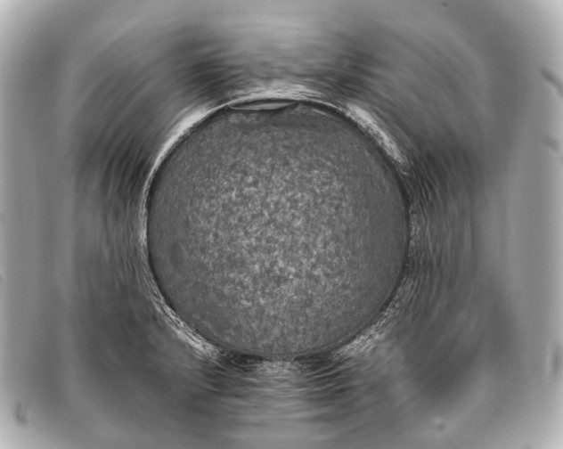 X0000093371232200710251146