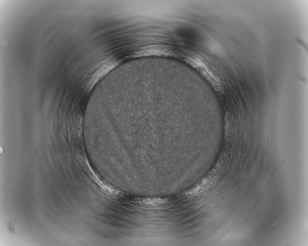 X0000093371233200710251146