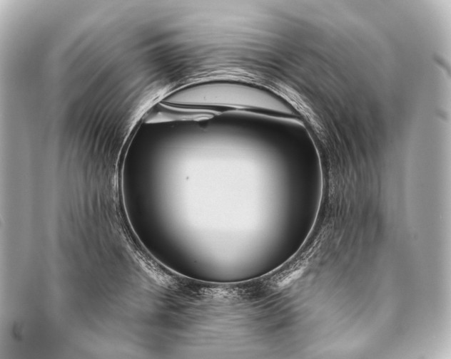 X0000093371234200710251146