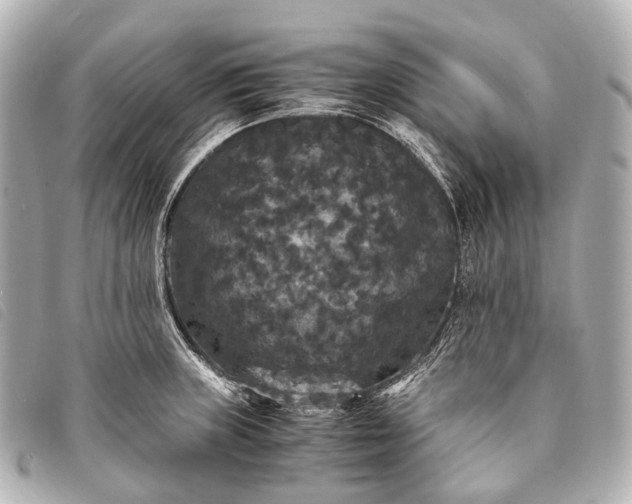 X0000093371235200710251146