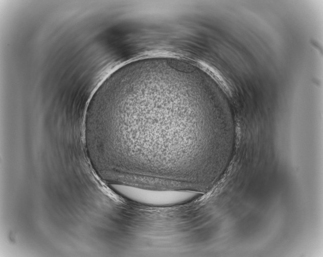 X0000093371236200710251146