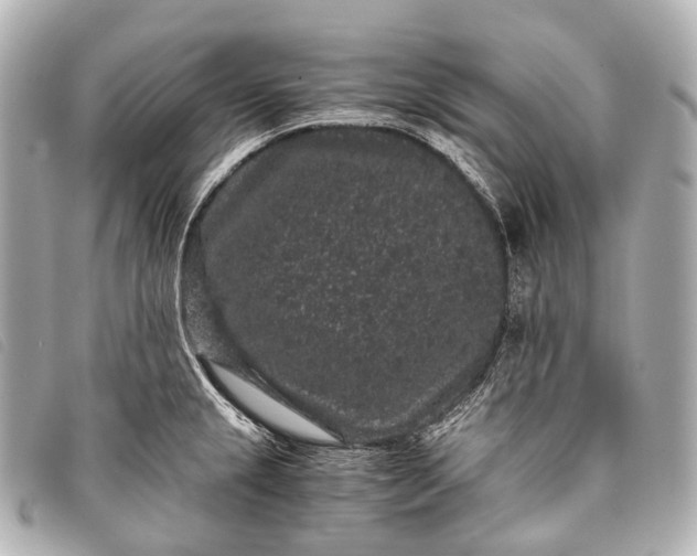 X0000093371237200710251146