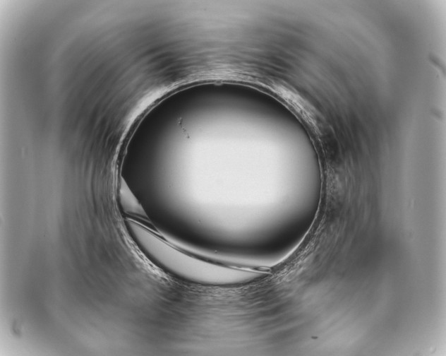 X0000093371238200710251146