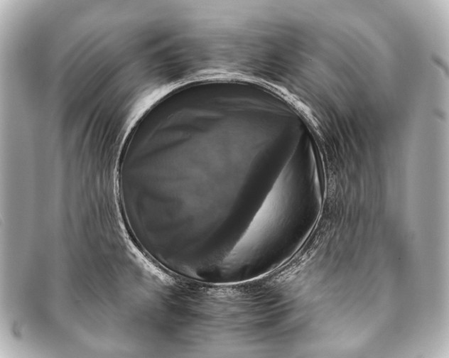 X0000093371239200710251146