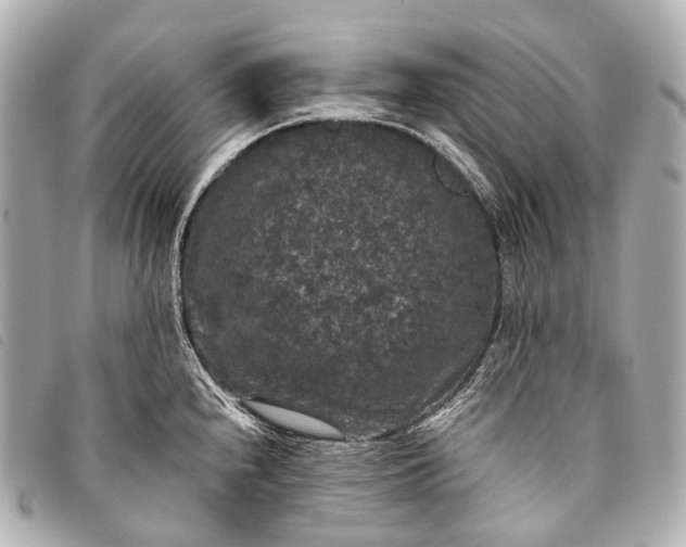 X0000093371240200710251146