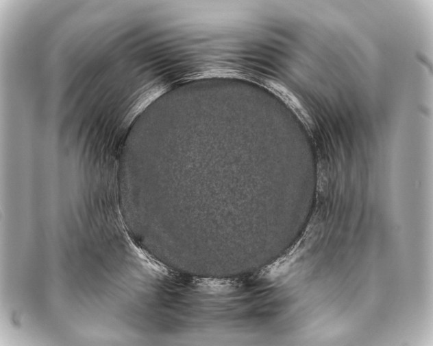 X0000093371241200710251146