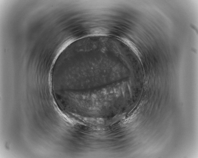 X0000093371243200710251146