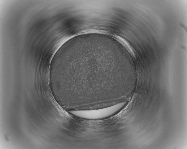 X0000093371244200710251146