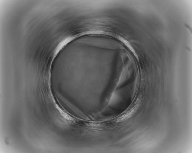 X0000093371245200710251146