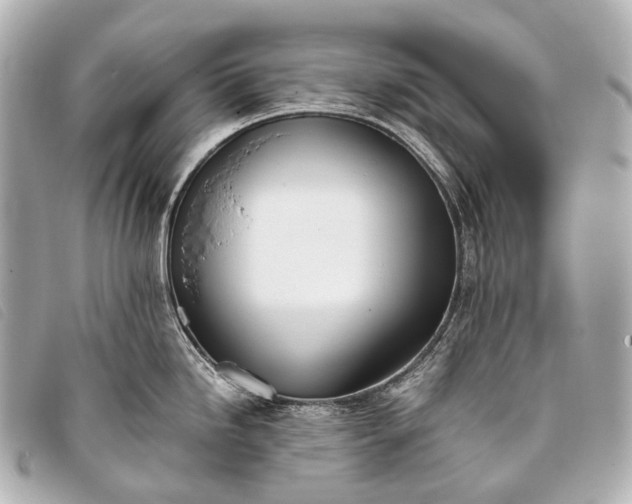 X0000093371246200710251146