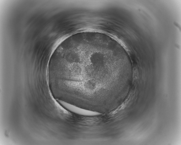 X0000093371247200710251146