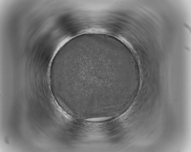 X0000093371248200710251146