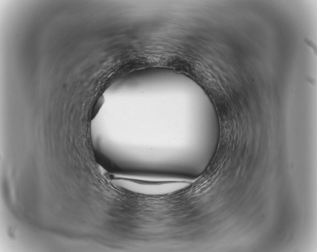 X0000093371249200710251146