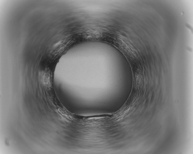 X0000093371250200710251146