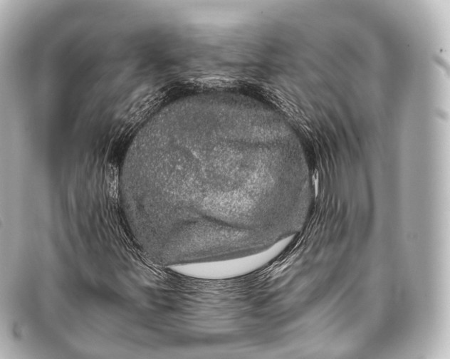 X0000093371251200710251146