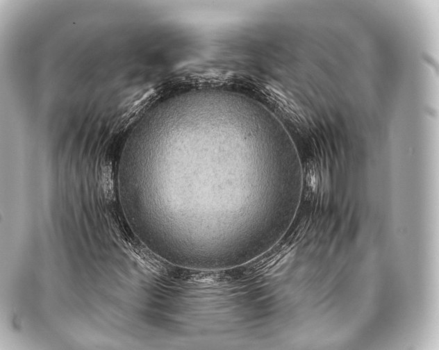 X0000093371252200710251146