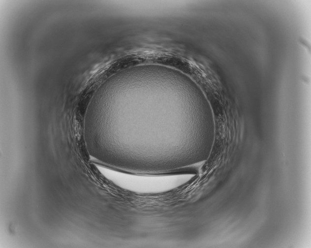 X0000093371253200710251146