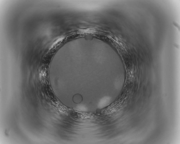 X0000093371254200710251146