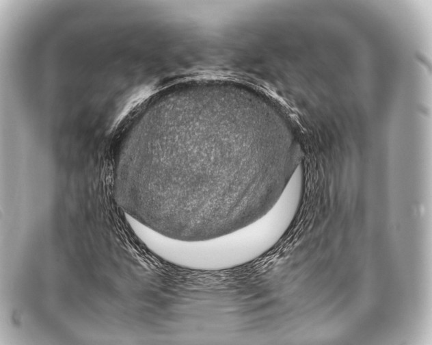 X0000093371255200710251146