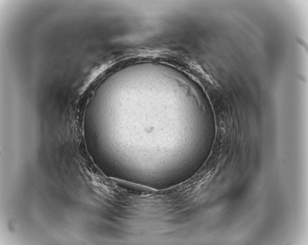 X0000093371256200710251146